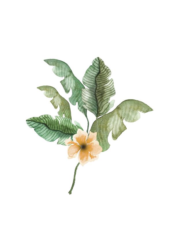 Tropisches Blumenbouquet